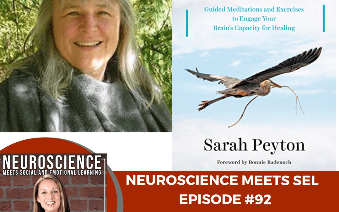 Author and Neuroscience Educator Sarah Peyton on “Brain Network Theory, Default Mode Network, Anxiety and Emotion Regulation.”