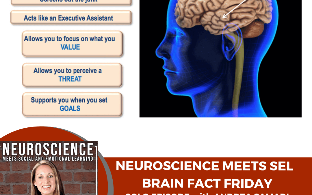 Brain Fact Friday on “Using the Reticular Activating System to Set Your Intent and Achieve it!”