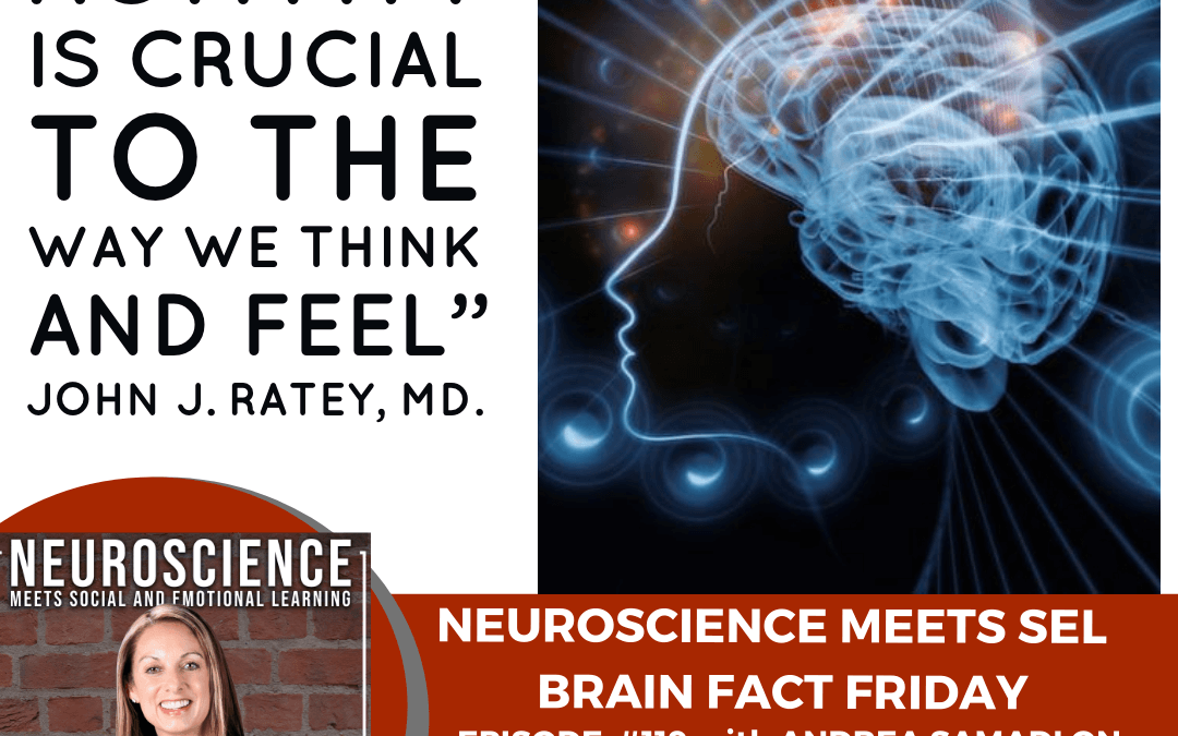 Brain Fact Friday on “The Key Ingredients of Learning with the Brain in Mind” with Andrea Samadi