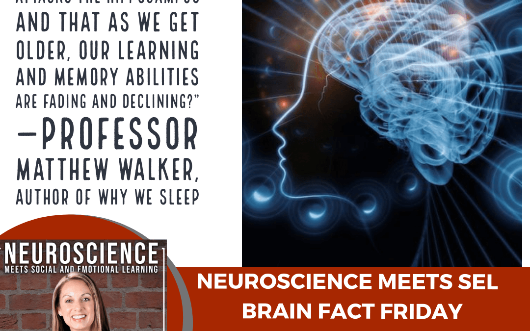 Brain Fact Friday on ”Science-Based Tricks to Improve Productivity and Never Forget Anything”