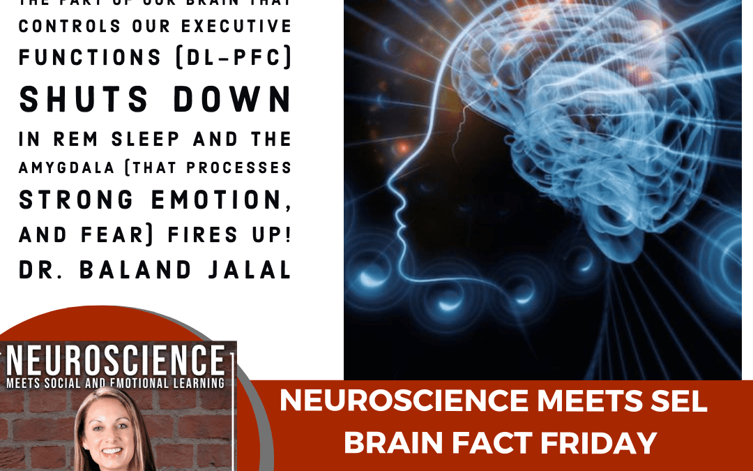 Brain Fact Friday ”Using Neuroscience to Explain Why Our Dreams Are So Weird, Highly Emotional, and Often Forgotten”