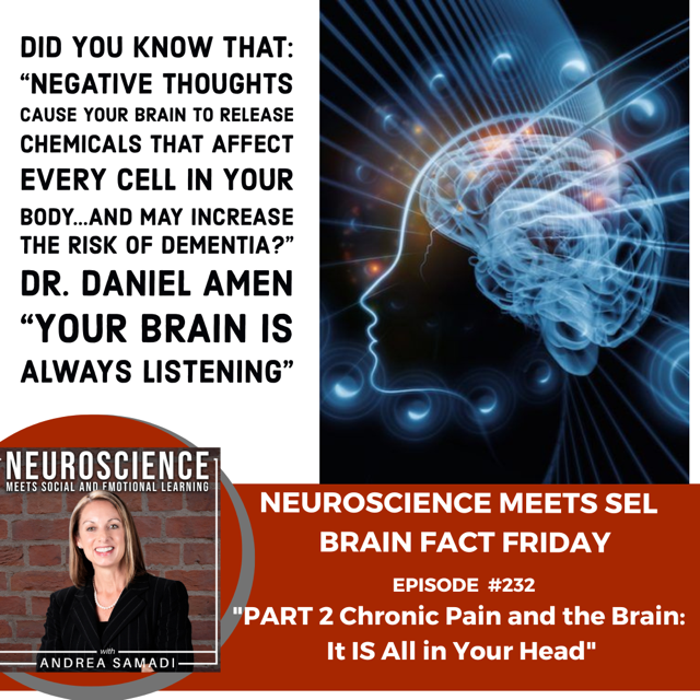Brain Fact Friday: PART 2 on ”Chronic Pain and the Brain: It IS All in Your Head”
