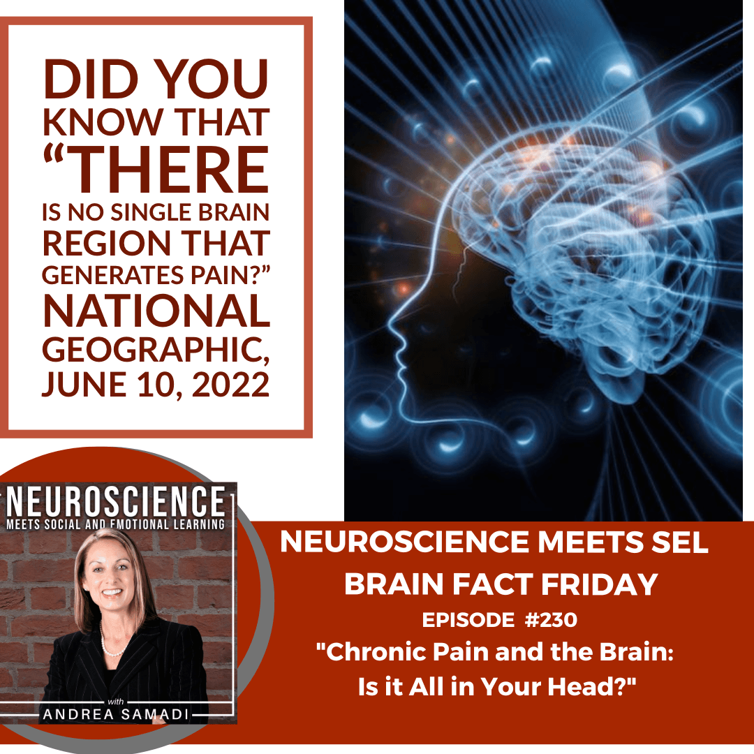 Brain Fact Friday ”Chronic Pain and the Brain: Is it All in Your Head?”