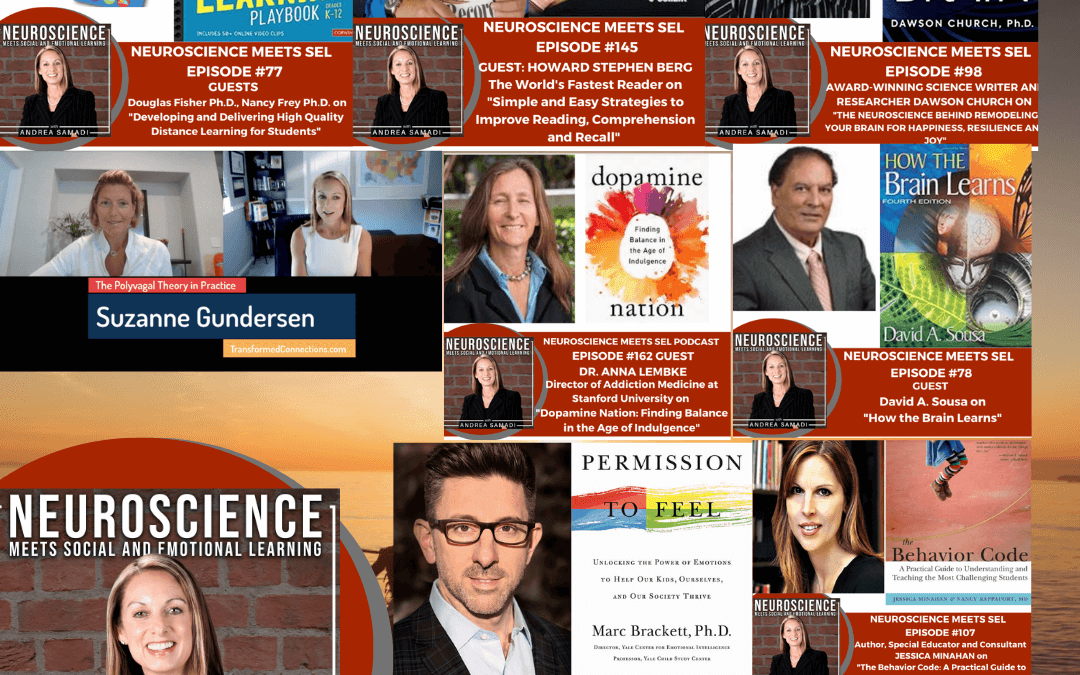 Top 12 Neuroscience Meets Social and Emotional Learning Podcast Interviews on YouTube