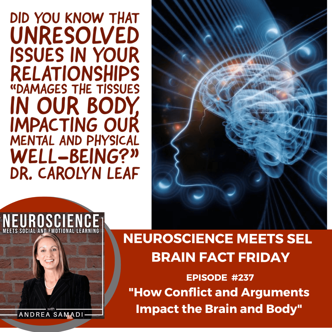 Brain Fact Friday on ”How Conflict and Arguments Impact the Brain and Body”