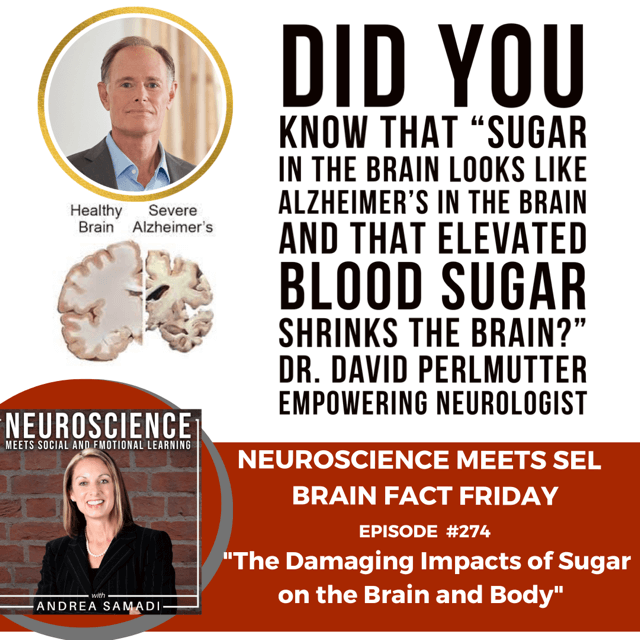 Brain Fact Friday ”The Damaging Impacts of Sugar on the Brain and Body”