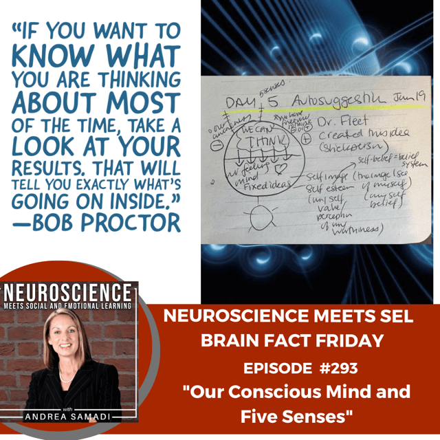 Brain Fact Friday on Our Conscious Mind and Five Senses